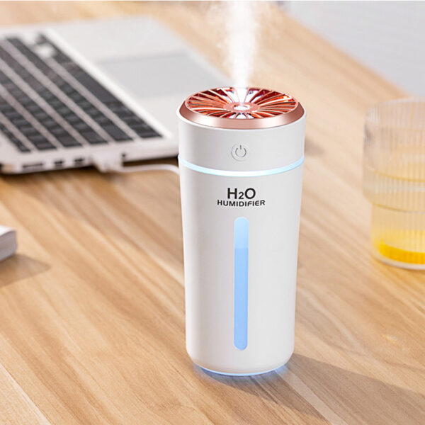 Portable Humidifier with 10ML Floral Oil For Cars